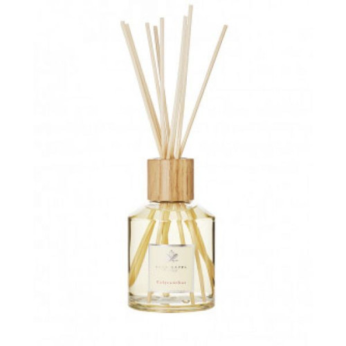 Acca Kappa Calycanthus home diffuser 250ml(8,25ml)